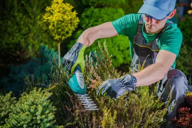 landscaping services Marrero